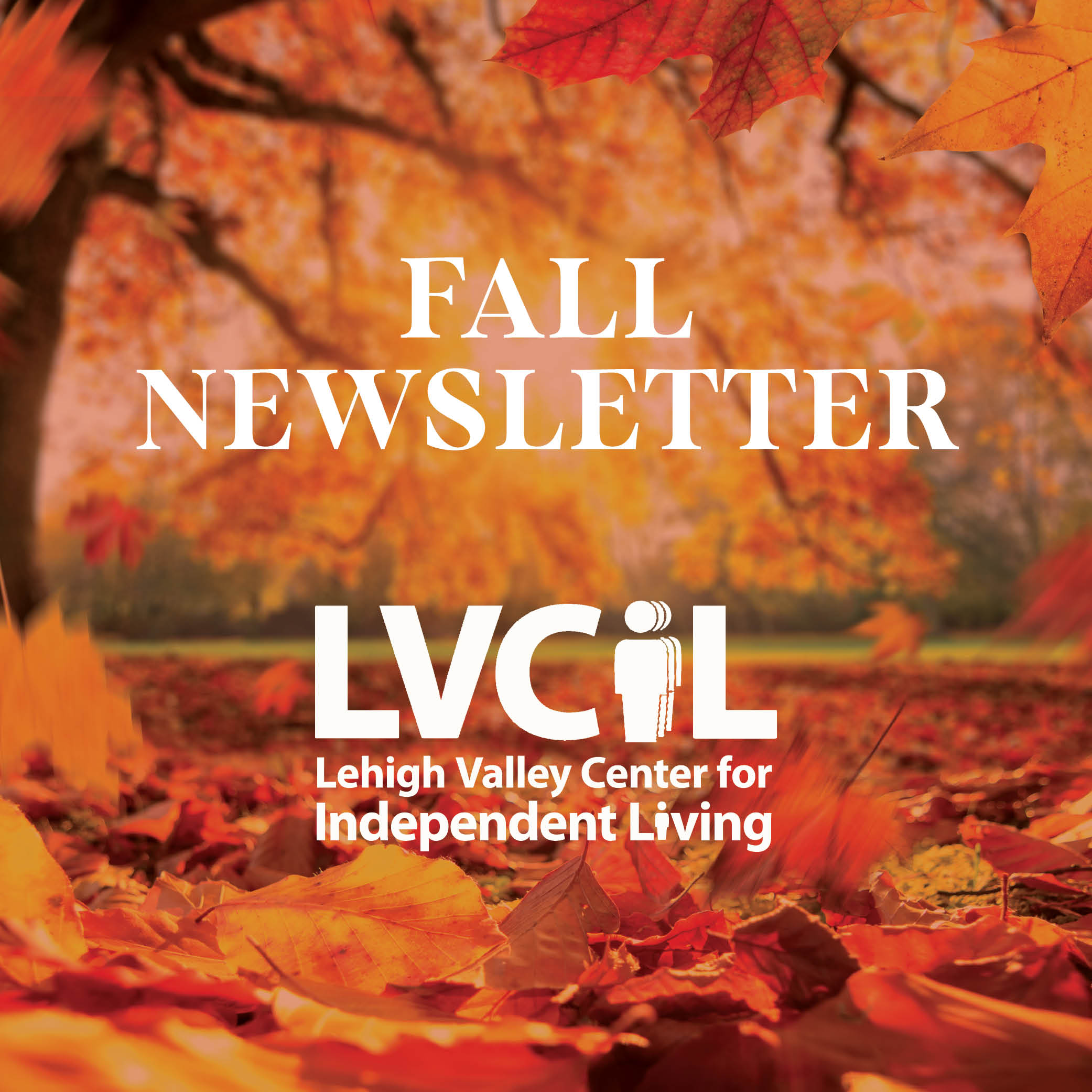 Check out our Fall 2022 Newsletter